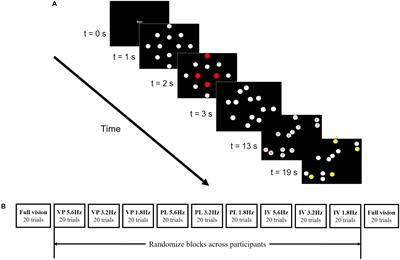 Stroboscopic Vision When Interacting With Multiple Moving Objects: Perturbation Is Not the Same as Elimination